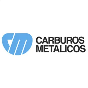 Anbotocarburosmetalicos | MARÍA INMACULADA BAQUÉ ARISTI